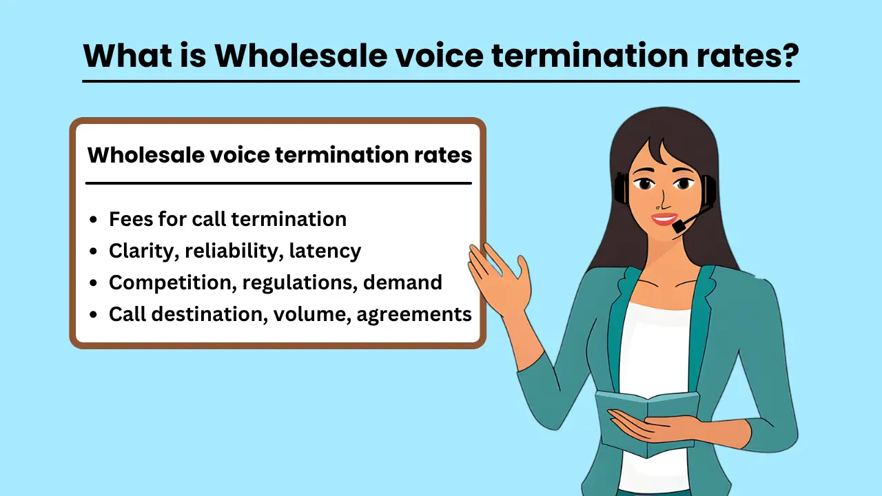 What is Wholesale voice termination rates?